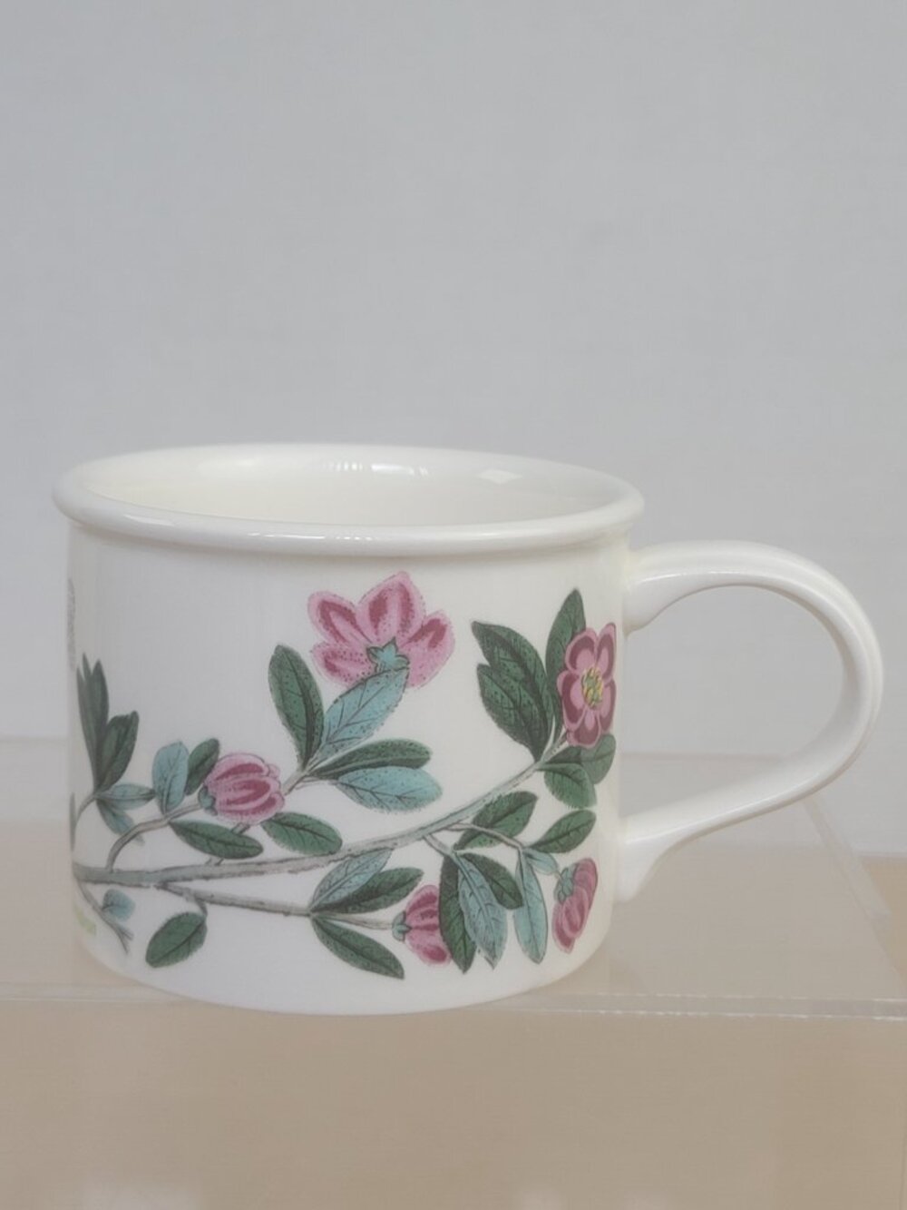 Portmeirion Botanic Garden Rhododendron Lepidote Design Flat Drum Cup 6 oz